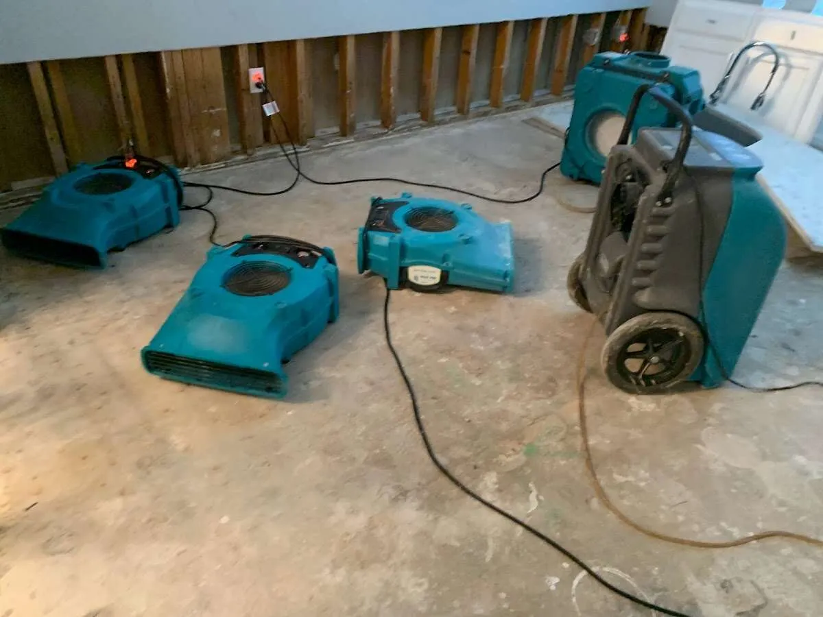 Basement Flood Cleanup in Fort Hood, TX